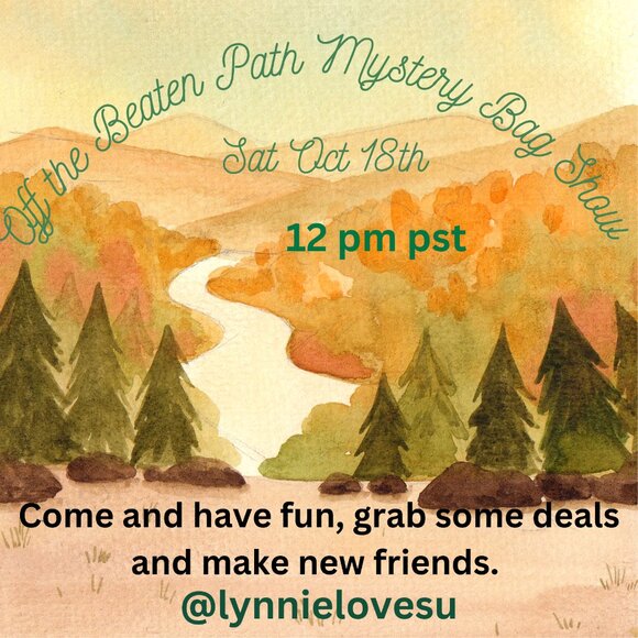 My 3rd Mystery Bag Show - Picture 2 of 6